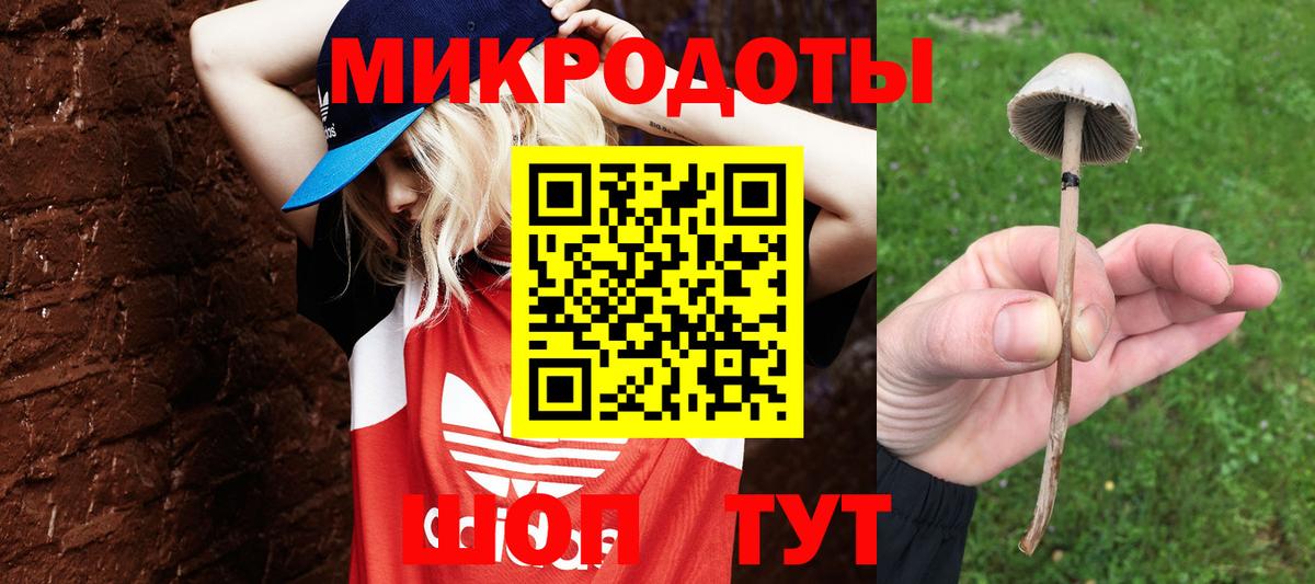 Псилоцибиновые грибы мицелий  Вход с VPN  Павловский Посад  магазин    Галлюциногенные грибы GOLDEN TEACHER 